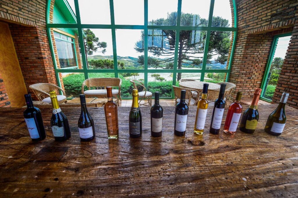 Vinícola Villa Francioni completa 23 anos de fundação