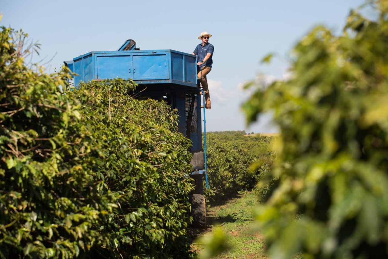 Café da Chapada de Minas impulsiona avanço dos cafés especiais no Brasil