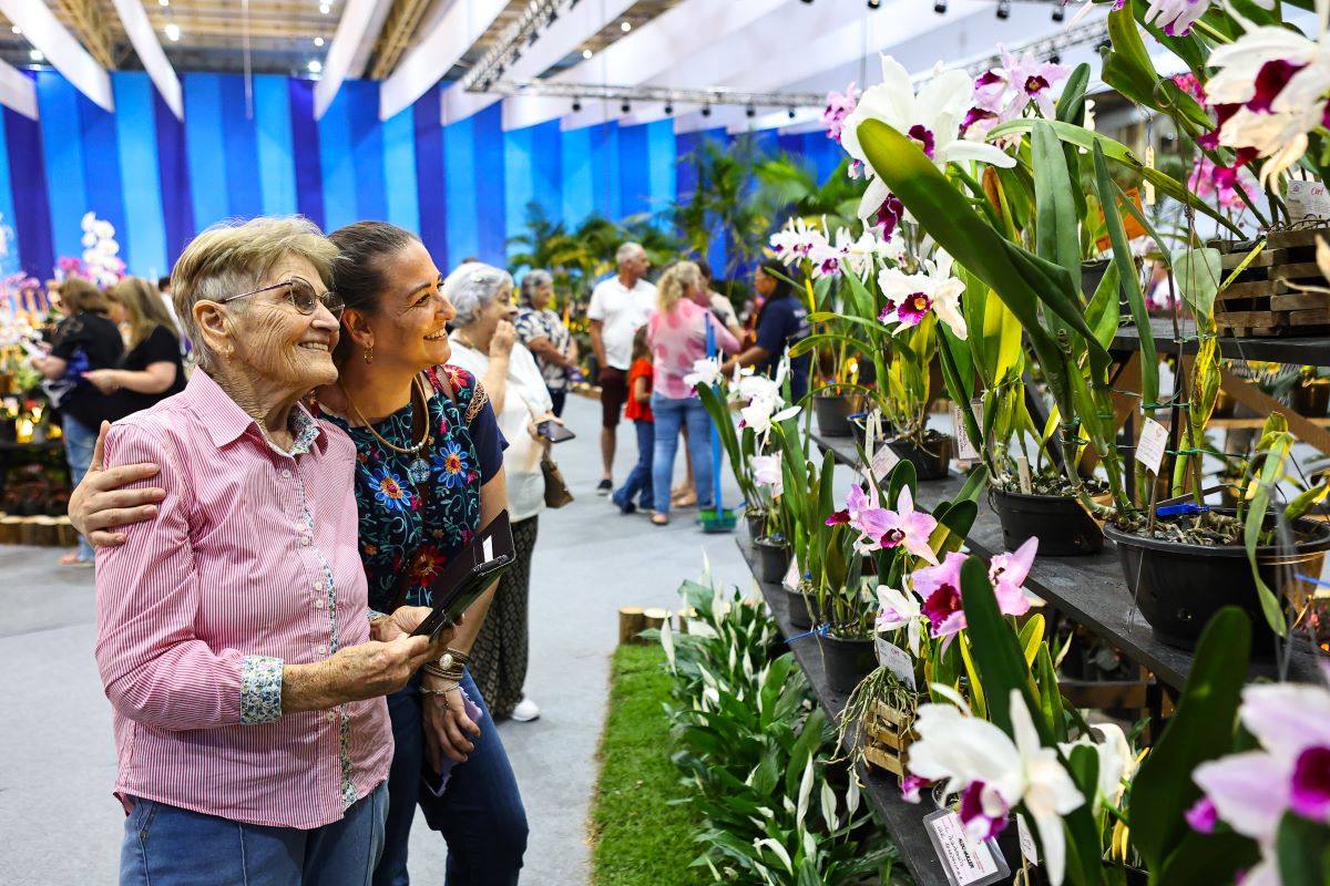 Festa das Flores de Joinville cadastra caravanas e tem inscrições abertas para o concurso da Flor da Melhor Idade