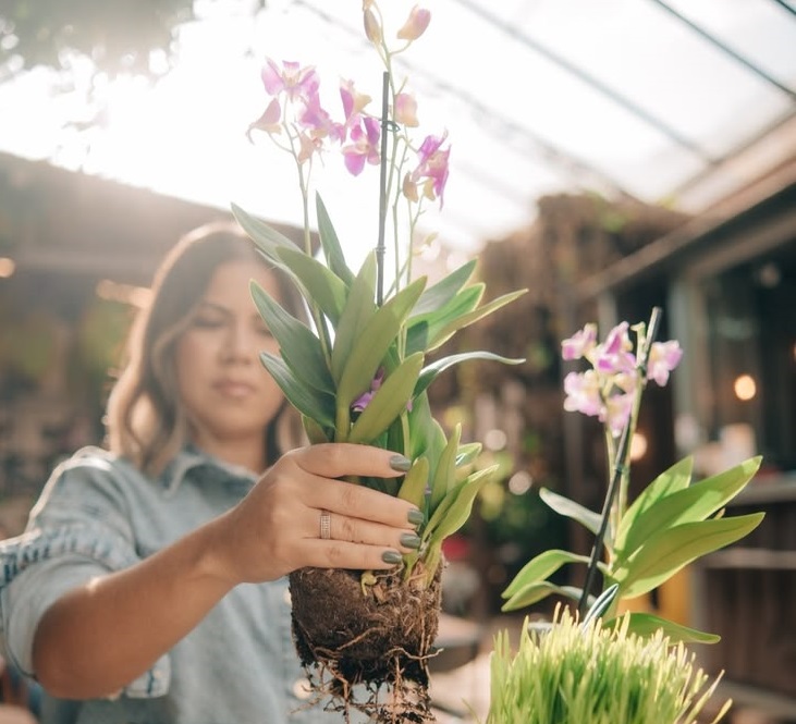 Oficina de orquídeas, Festival Meraki e competição de rolimã movimentam a Praça Cidade das Águas em setembro